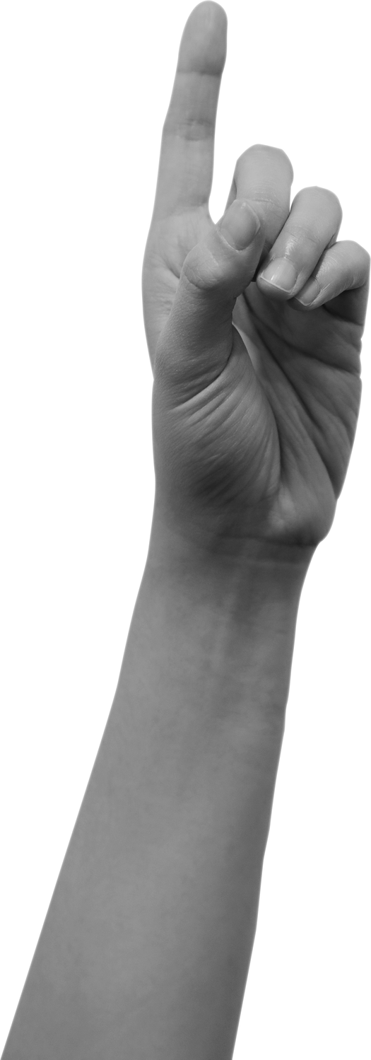 Human Hand Gesture