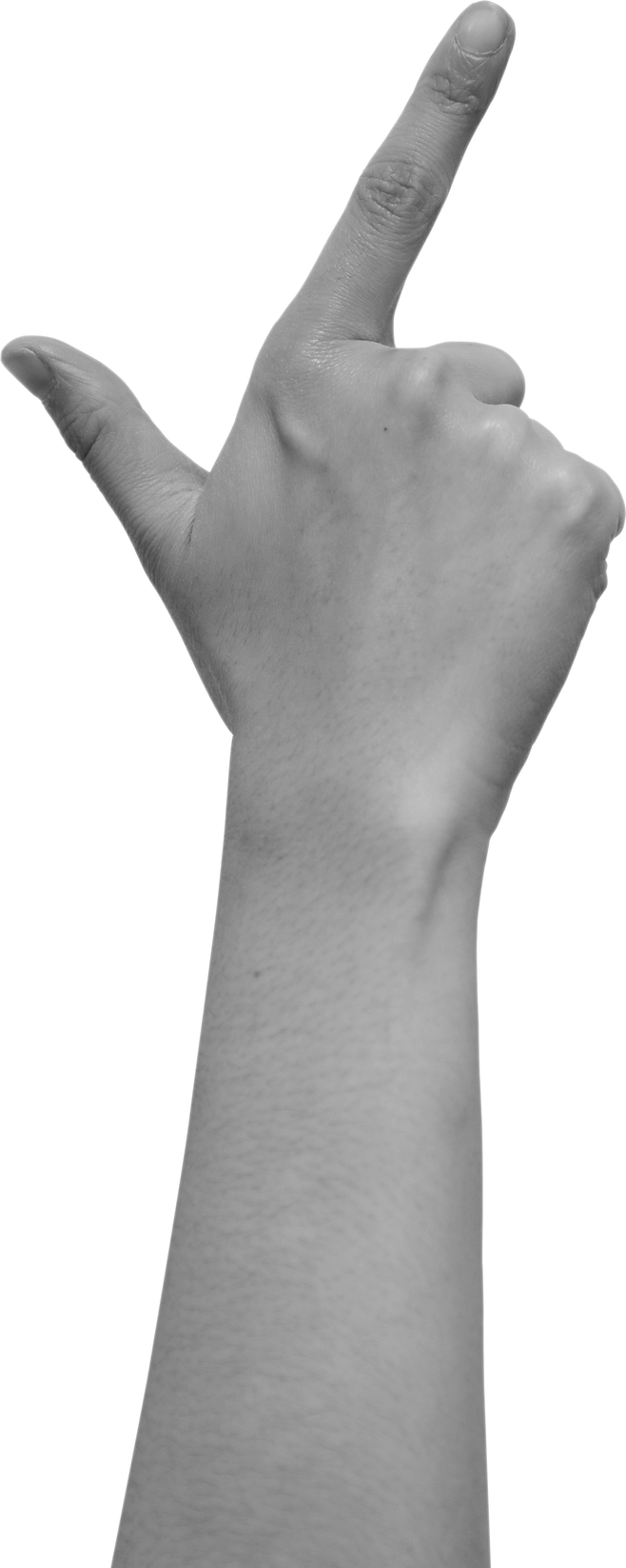 Human Hand Gesture